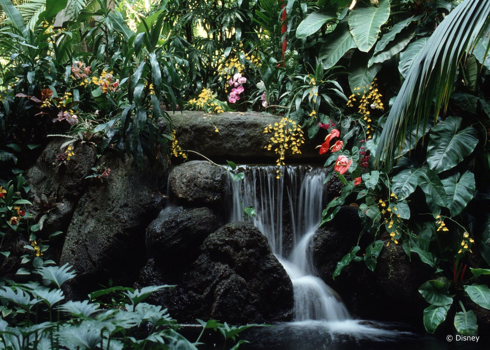 Disney'S Polynesian Village Resort Orlando Kültér fotó
